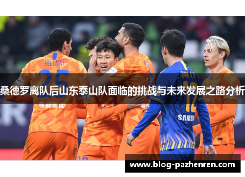 桑德罗离队后山东泰山队面临的挑战与未来发展之路分析