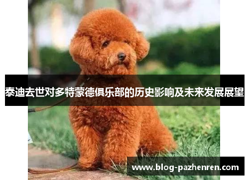 泰迪去世对多特蒙德俱乐部的历史影响及未来发展展望