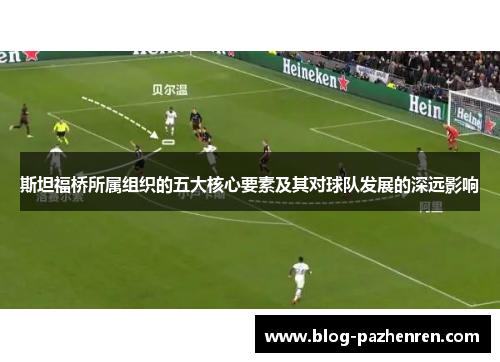 斯坦福桥所属组织的五大核心要素及其对球队发展的深远影响