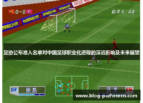 足协公布准入名单对中国足球职业化进程的深远影响及未来展望
