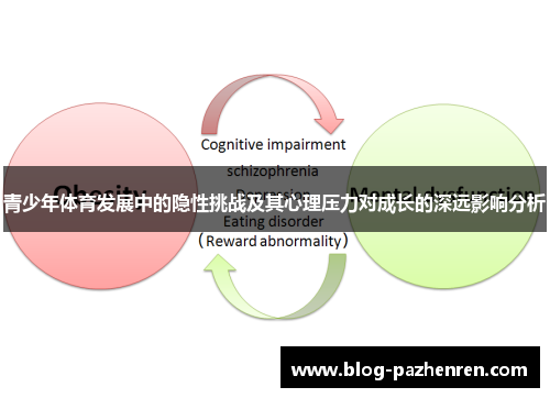 青少年体育发展中的隐性挑战及其心理压力对成长的深远影响分析