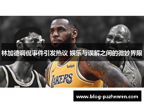 林加德调侃事件引发热议 娱乐与误解之间的微妙界限