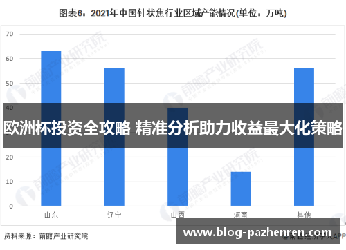 欧洲杯投资全攻略 精准分析助力收益最大化策略