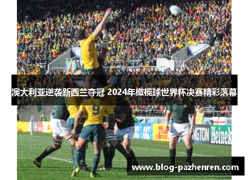 澳大利亚逆袭新西兰夺冠 2024年橄榄球世界杯决赛精彩落幕 澳大利亚逆袭新西兰夺冠 2024年橄榄球世界杯决赛精彩落幕