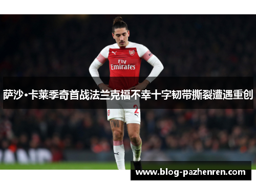 萨沙·卡莱季奇首战法兰克福不幸十字韧带撕裂遭遇重创 萨沙·卡莱季奇首战法兰克福不幸十字韧带撕裂遭遇重创