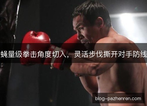 蝇量级拳击角度切入,灵活步伐撕开对手防线 蝇量级拳击角度切入,灵活步伐撕开对手防线
